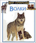 Резник Дж. Волки / Дж. Резник ; пер с англ. К. Норкиной. - М. : Слово, 1995. - 31 с. : ил. - (Мир природы). 